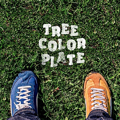 [중고] 에브리 싱글 데이 & 박현 & 최수정 - Tree Color Plate