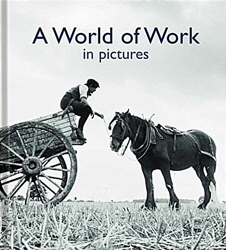 A World of Work in Pictures (Hardcover)