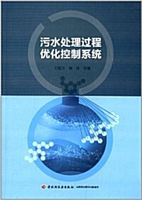 汚水處理過程优化控制系统 (平裝, 第1版)