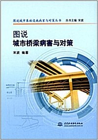 圖说城市基础设施病害與對策叢书:圖说城市橋梁病害與對策 (平裝, 第1版)