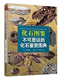 化石圖鑒:不可思议的化石鑒赏圖典 (平裝, 第1版)