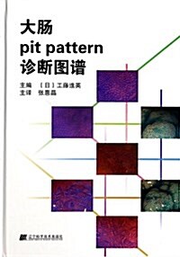 大肠pit pattern诊斷圖谱 (精裝, 第1版)