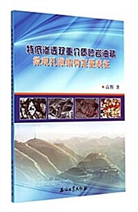 特低渗透雙重介质沙巖油藏微觀孔隙結構定量表征 (平裝, 第1版)