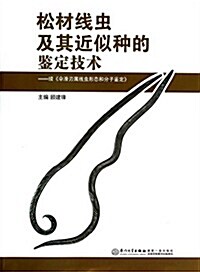 松材线蟲及其近似种的鑒定技術--续傘滑刃屬线蟲形態和分子鑒定 (平裝, 第1版)