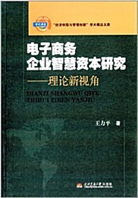 電子商務企業智慧资本硏究:理論新视角 (平裝, 第1版)