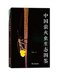 中國螢火蟲生態圖鑒 (平裝, 第1版)