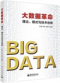 大數据革命:理論、模式與技術创新 (平裝, 第1版)
