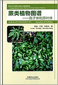 蕨類植物圖谱:孢子體和原葉體 (精裝, 第1版)