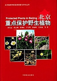 北京植物种质资源调査與评价叢书:北京重點保護野生植物 (平裝, 第1版)