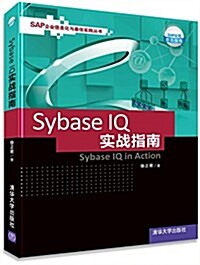 Sybase IQ實戰指南 (平裝, 第1版)