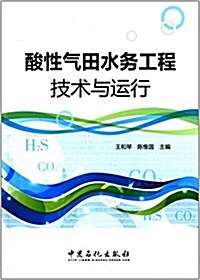 酸性氣田水務工程技術與運行 (平裝, 第1版)