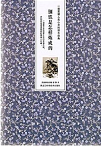 鋼铁是怎样煉成的 (平裝, 第1版)