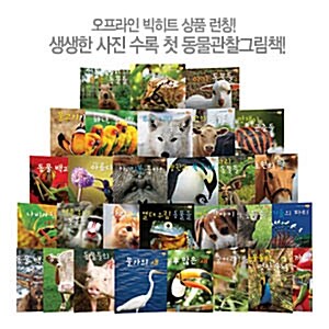 재미 ZOO (사진으로 보는 재미있는 동물원: 전32권) - 별똥별[매장판매 히트상품!]