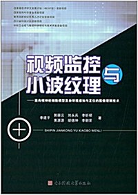 视频監控與小波紋理:面向视神經细胞模型复雜環境感知與定位的圖像理解技術 (平裝, 第1版)