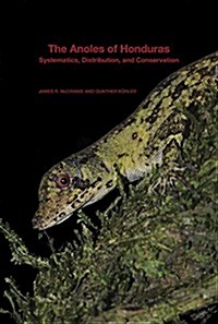 The Anoles of Honduras : Systematics, Distribution, and Conservation (Paperback)