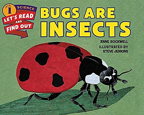 [중고] Bugs Are Insects (Paperback)