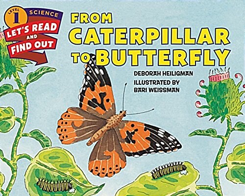 영어 과학동화 1 : From Caterpillar to Butterfly (Paperback)