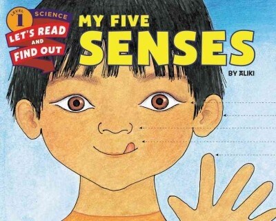 My Five Senses (Hardcover)