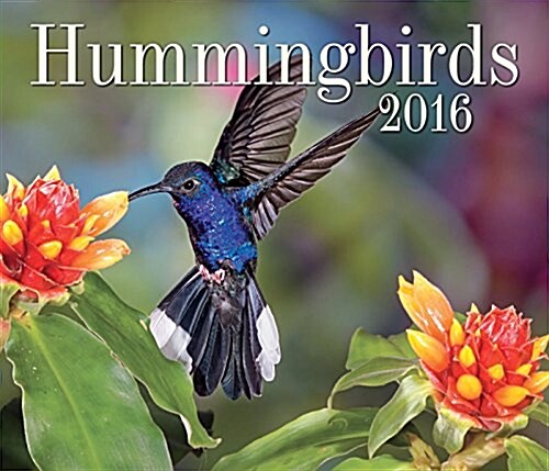 Hummingbirds 2016 (Wall, 2016)