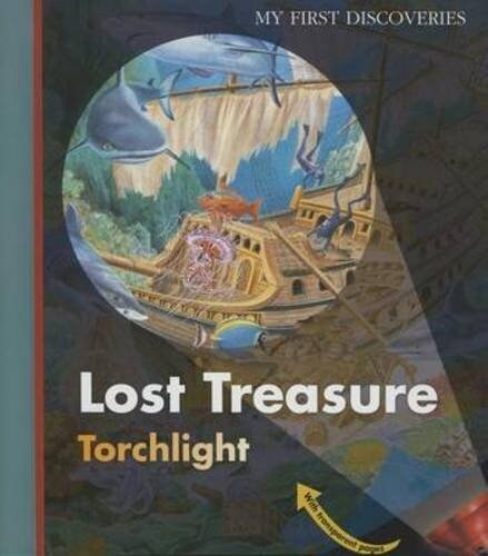 Lost Treasure (Hardcover)