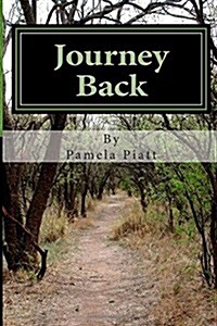 Journey Back (Paperback, Large Print)