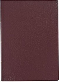 Santa Biblia / Holy Bible (Hardcover)
