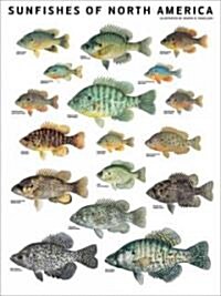 Sunfishes of North America (Other)