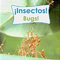 Insectos! / Bugs! (Board Book, Bilingual)