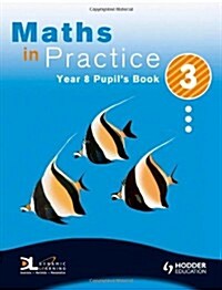 Maths in Practice (Paperback)