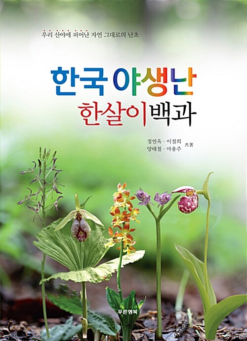 한국 야생난 한살이백과