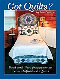 Got Quilts?: Fast and Fun Accessories from Unfinished Quilts (Paperback)