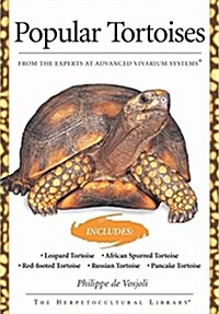 Popular Tortoises (Advanced Vivarium Systems) (Paperback)