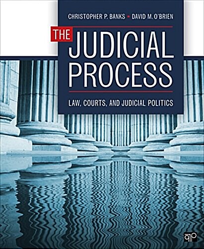 The Judicial Process (Paperback)
