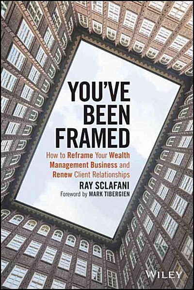 Youve Been Framed: How to Reframe Your Wealth Management Business and Renew Client Relationships (Hardcover)