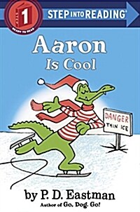 [중고] Aaron Is Cool (Paperback)