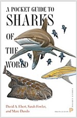 A Pocket Guide to Sharks of the World (Paperback)