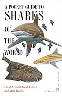 A Pocket Guide to Sharks of the World (Paperback)