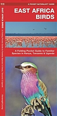 East Africa Birds: A Folding Pocket Guide to Familiar Species in Kenya, Tanzania & Uganda (Paperback)
