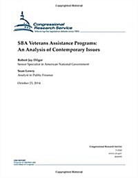 Sba Veterans Assistance Programs: An Analysis of Contemporary Issues (Paperback)