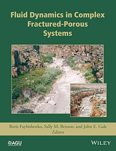 Dynamics of Fluids and Transport in Complex Fractured-Porous Systems (Hardcover)