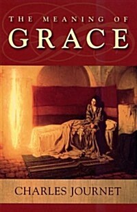 The Meaning of Grace (Paperback)