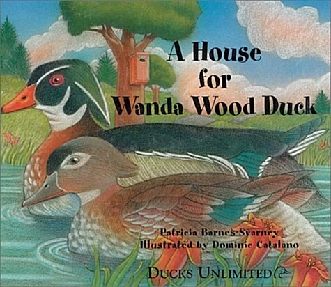 A House for Wanda Wood Duck (Hardcover, 1st)