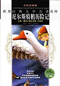 尼兒斯騎鵝歷險記 닐스의 모험 (중국어판)