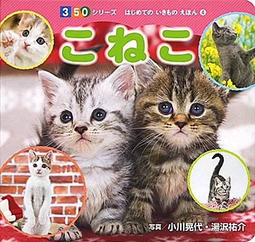 こねこ (350シリ-ズ はじめてのいきものえほん) (單行本)