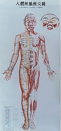 인체경맥경혈도 (한자.한글)