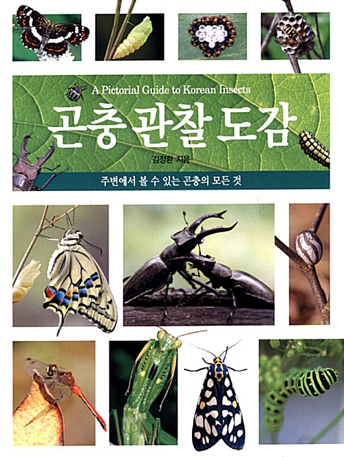 [중고] 곤충 관찰 도감