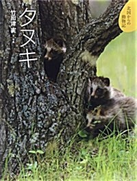 タヌキ (北國からの動物記 7) (大型本)