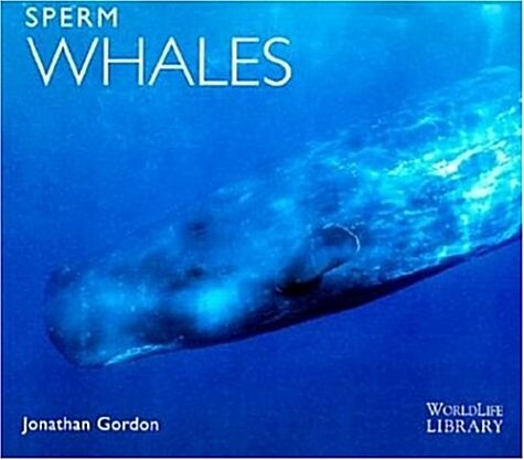 Sperm Whales (Worldlife Library) (Paperback)