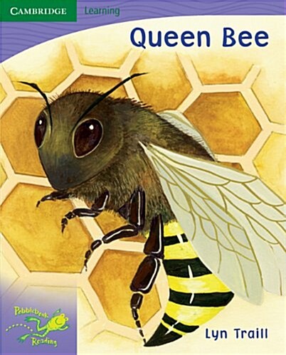 Pobblebonk Reading 6.5 Queen Bee (Paperback)