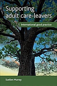 Supporting Adult Care-Leavers : International Good Practice (Paperback)